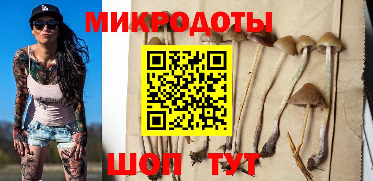 Псилоцибиновые грибы GOLDEN TEACHER Чернушка