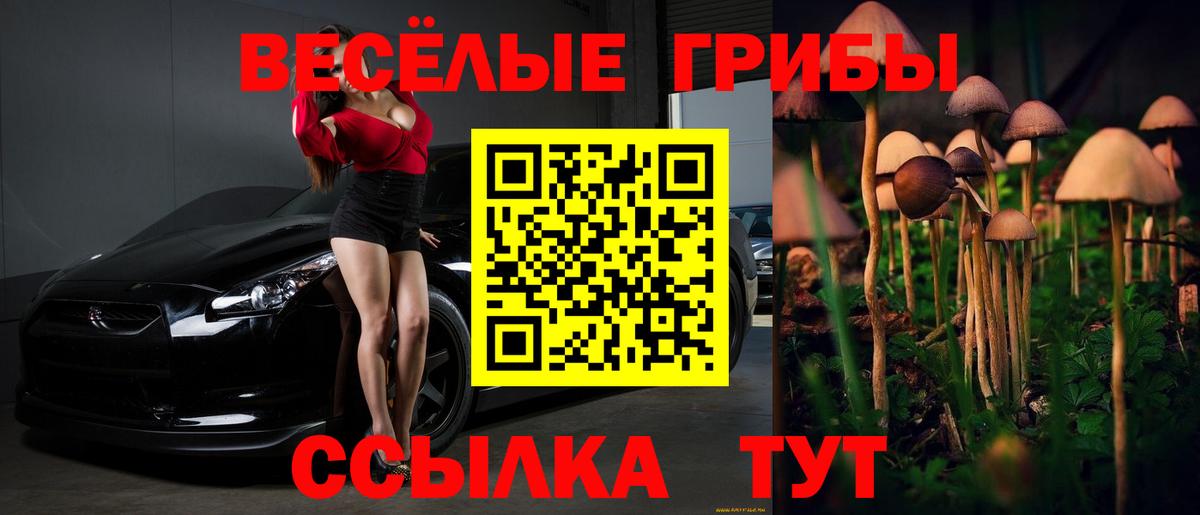 Псилоцибиновые грибы GOLDEN TEACHER  Вход с VPN  Чернушка  Галлюциногенные грибы Cubensis 